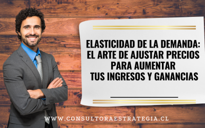 Elasticidad de la Demanda: El Arte de Ajustar Precios para Aumentar tus Ingresos y Ganancias