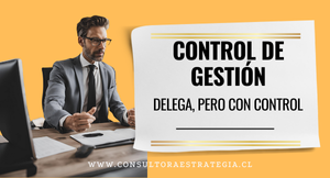 Control de Gestión: Delega, pero con Control