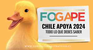 FOGAPE Chile Apoya 2024: Todo lo que Necesitas Saber